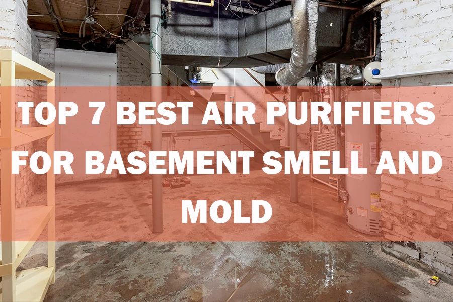 Basement transformed with the help of a powerful air purifier