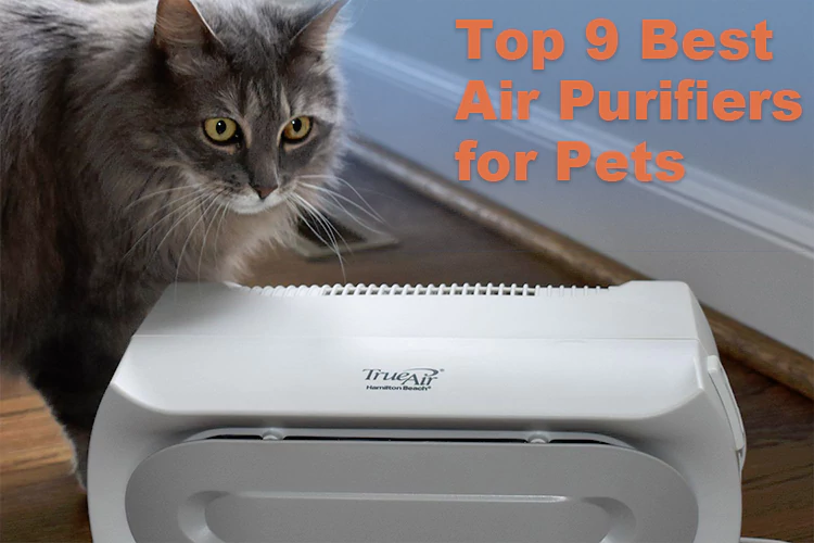 Pets playing freely with an efficient air purifier in the background